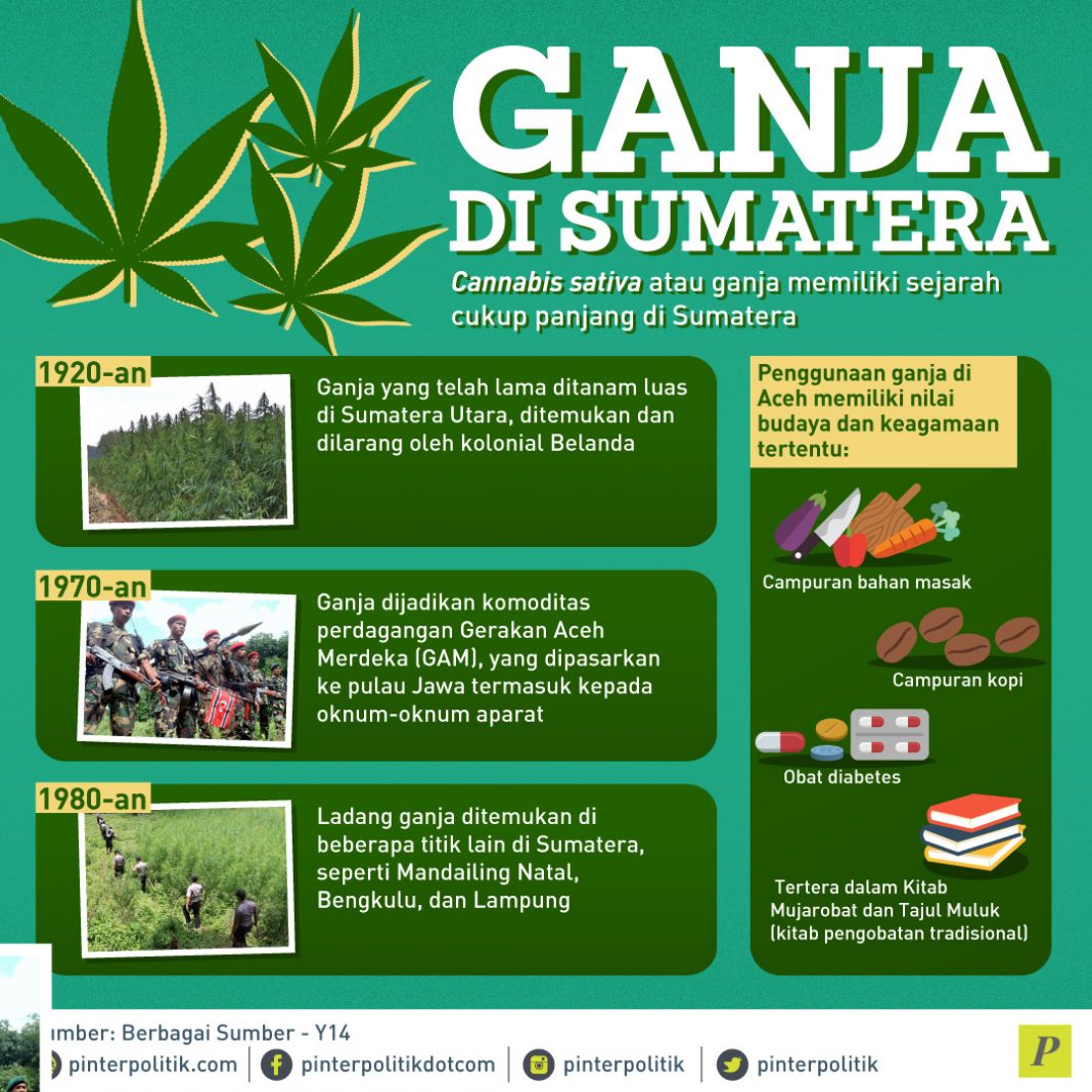 Ganja Di Sumatra PinterPolitik