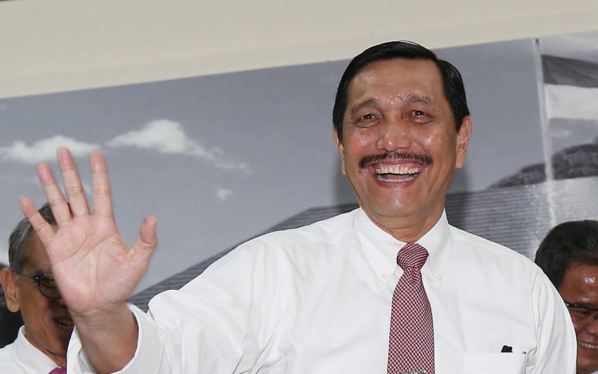 Luhut, Menteri Paling Repot?