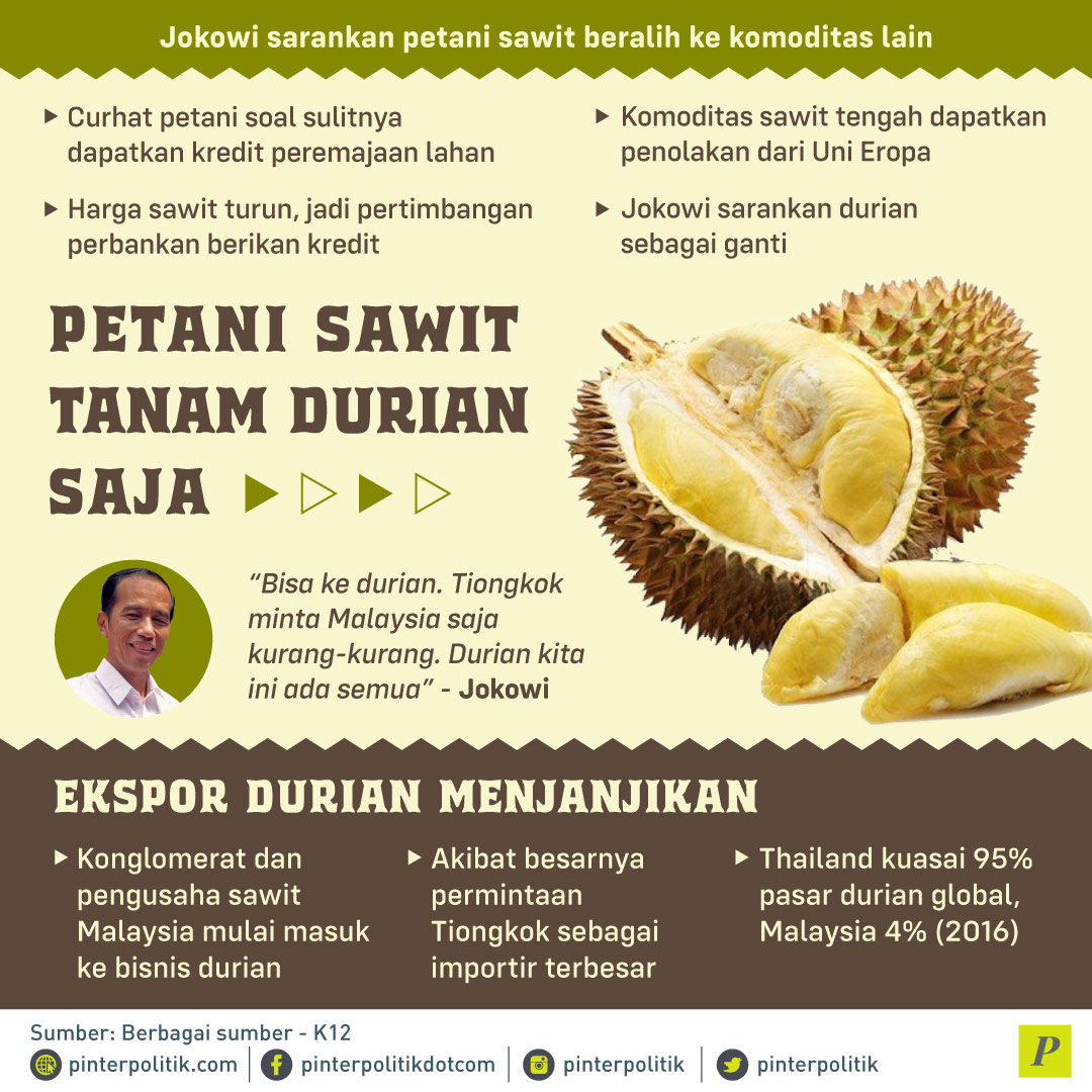 Jokowi sarankan Durian sebagai ganti