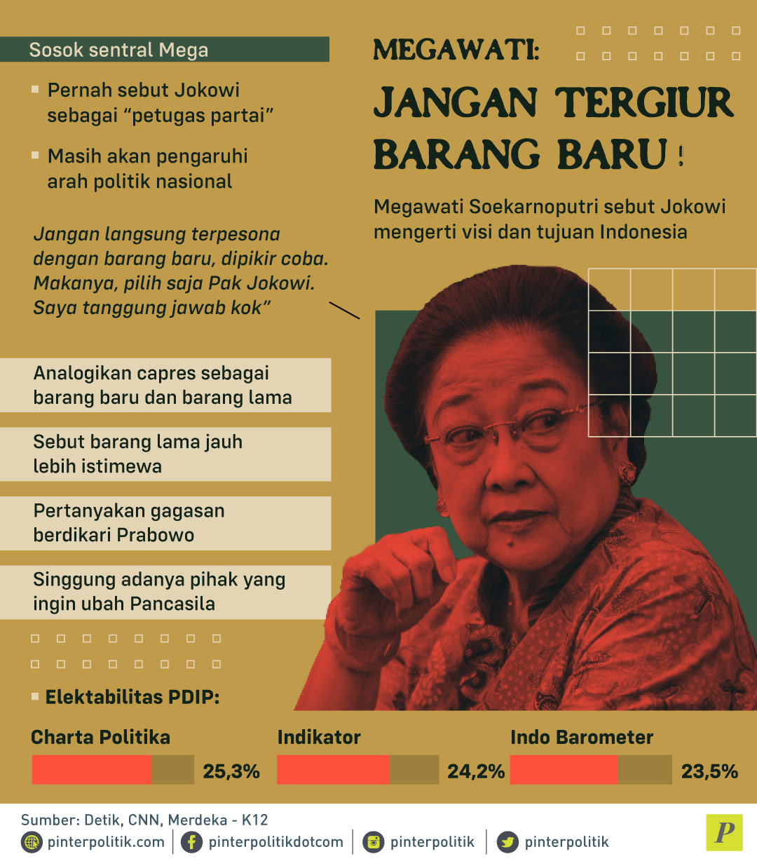 Megawati Soekarnoputri sebut Jokowi mengerti visi dan tujuan Indonesia