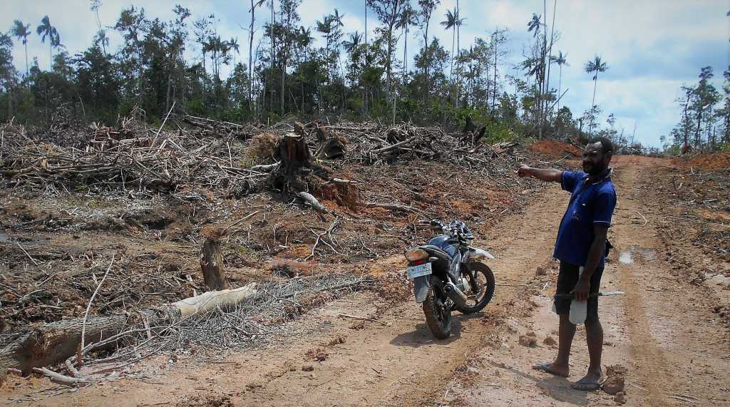 Hantu Sawit di Papua