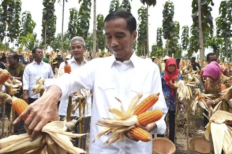 Presiden Paling Sering Dimarahi