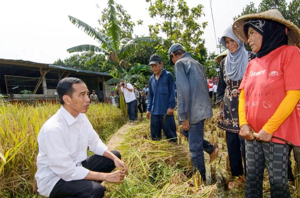 Pemerintah ‘Sengaja’ Lakukan Malpraktik?