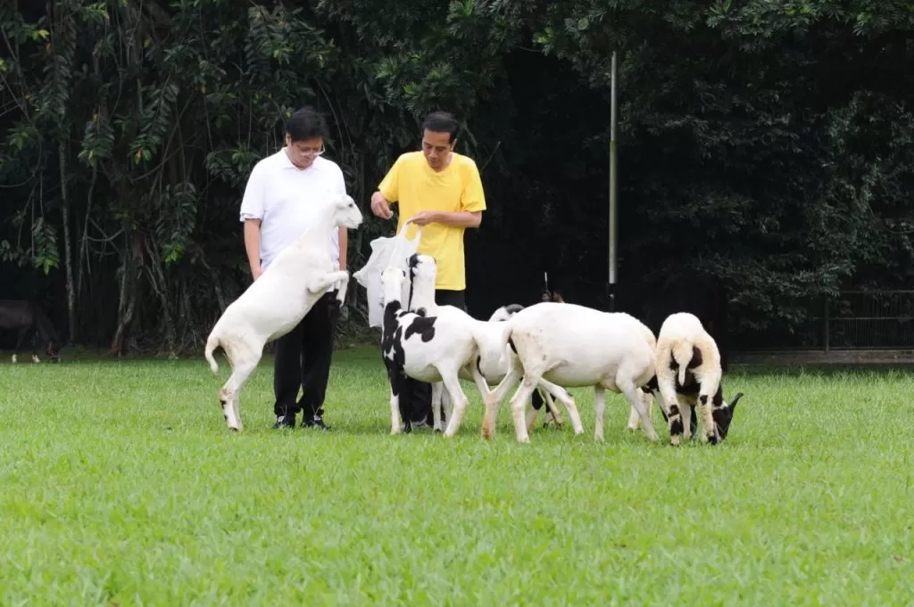 Jokowi-Airlangga Siap Berlaga?