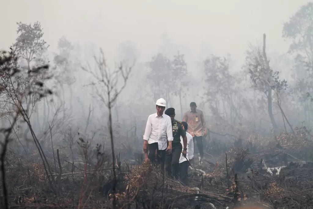 Kasasi Jokowi dan Tragedi Asap