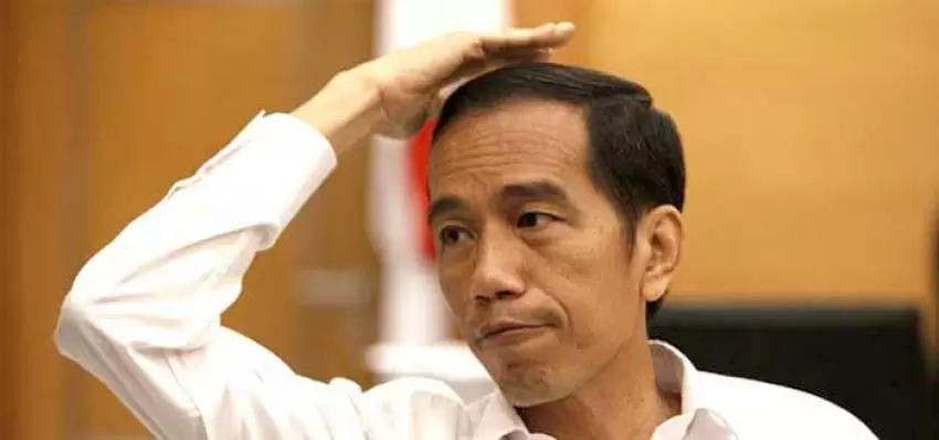 jokowi larang kampanye