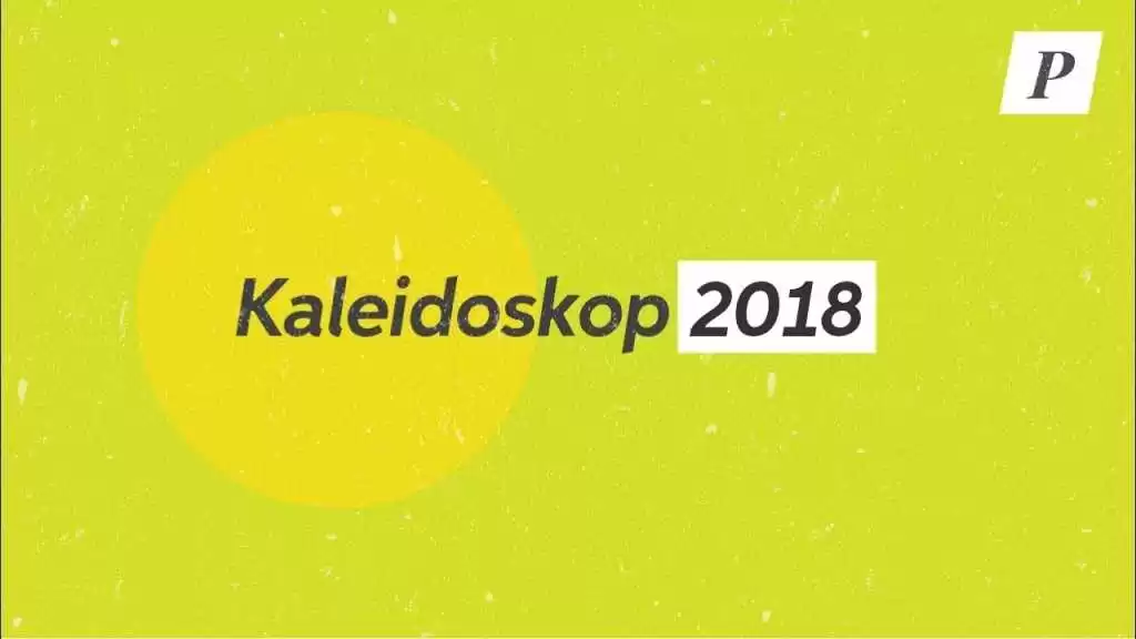 Kaleidoskop Pinter Politik 2018