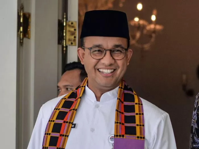 Anies ormas