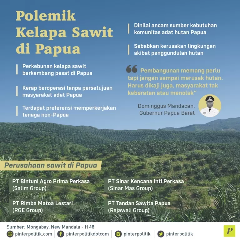 Polemik Kelapa Sawit di Papua