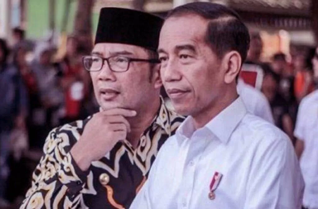 Goldman Sachs, Acuan Jokowi Tangani Corona?