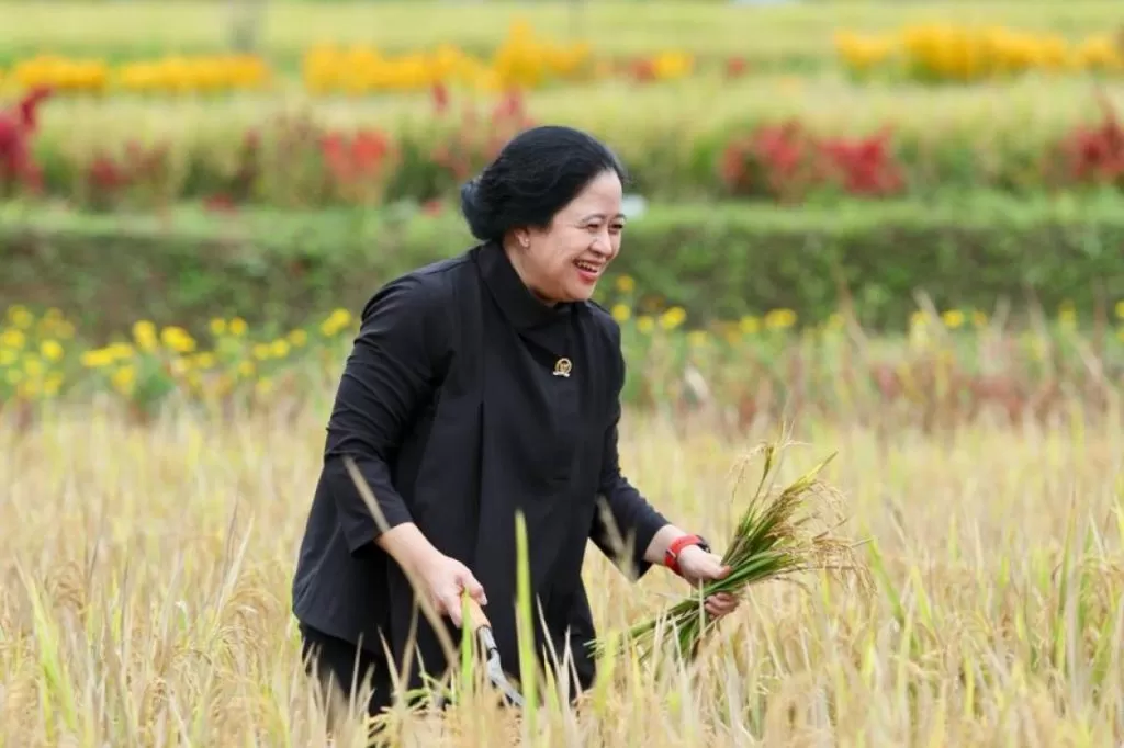 mencari capres ganteng ala puan