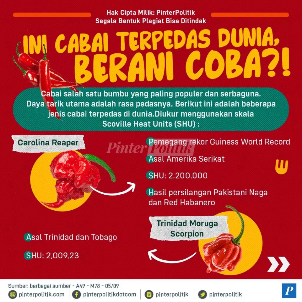 ini cabai terpedas dunia berani coba 01