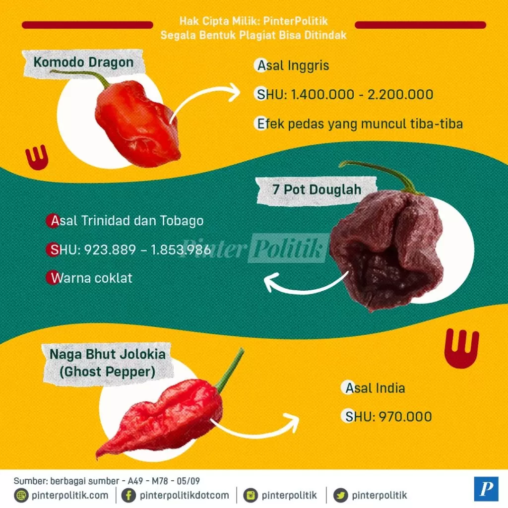 ini cabai terpedas dunia berani coba 02