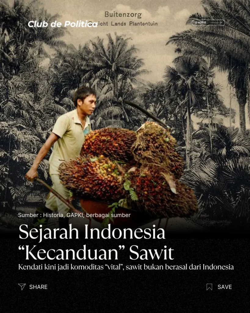 sejarah indonesia “kecanduan” sawit 1